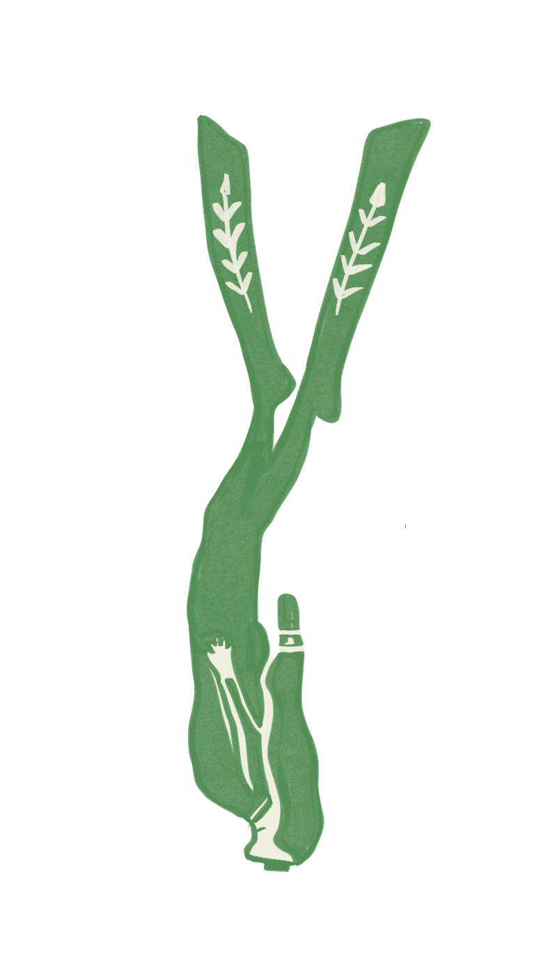 Cutout 18