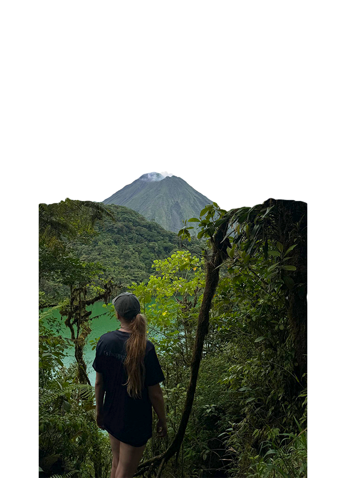 Cutout 8